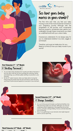 See How Your Baby Moves In Your Womb